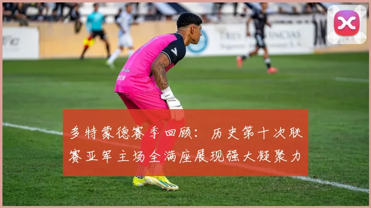 多特蒙德赛季回顾：历史第十次联赛亚军主场全满座展现强大凝聚力