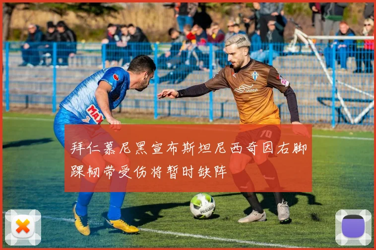 拜仁慕尼黑宣布斯坦尼西奇因右脚踝韧带受伤将暂时缺阵