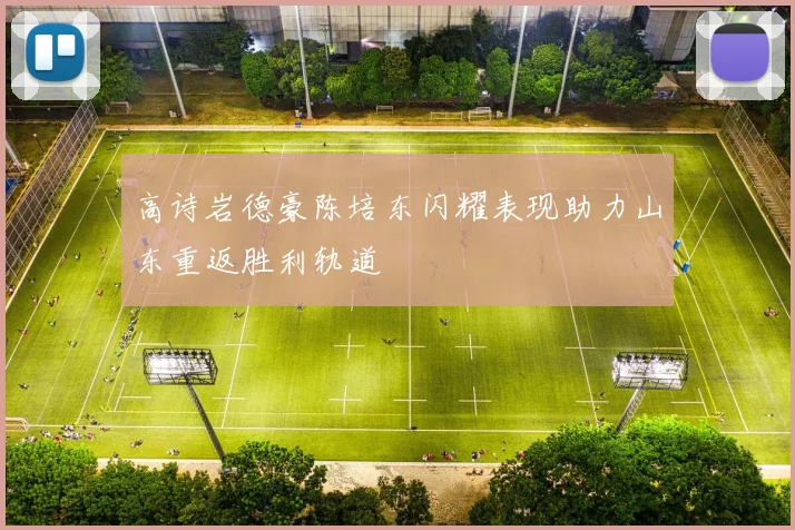高诗岩德豪陈培东闪耀表现助力山东重返胜利轨道