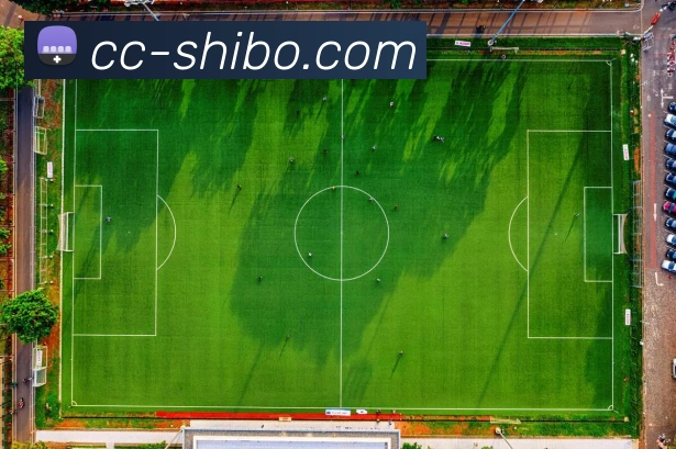 奖项图1