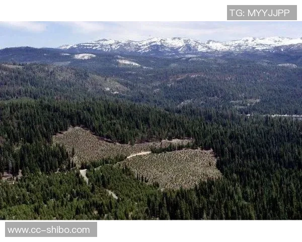 美国最大私人土地拥有者克伦克牧场资产逼近40亿美元引发关注